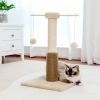 Indoor Small Cat Tree with Pad Fully Wrapped Scratching Posts