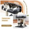 Indoor Small Cat Tree with Pad Fully Wrapped Scratching Posts
