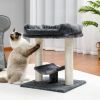 Indoor Small Cat Tree with Pad Fully Wrapped Scratching Posts